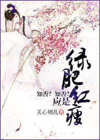 知否知否应是绿肥红瘦 封面