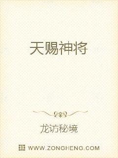 天赐神将 封面