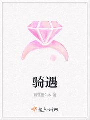 骑遇 封面