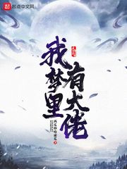 我梦里有大佬 封面