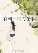有朝一日刀在手 封面