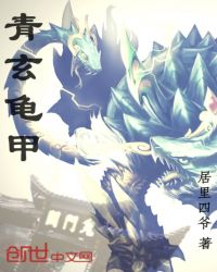 龟甲作品集 封面