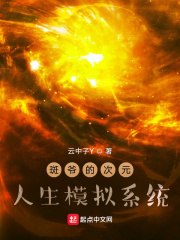 斑爷的次元人生模拟系统 封面