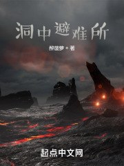 洞中避难所 封面