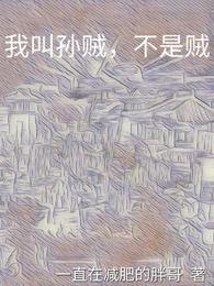 我叫孙贼，不是贼 封面