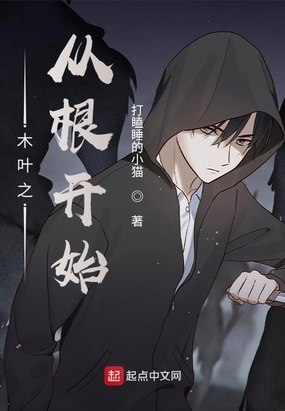 木叶之从根开始 封面
