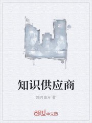 知识供应商 封面