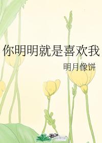 你明明就是喜欢我 封面