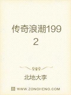 传奇浪潮1992 封面