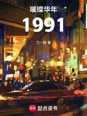 璀璨华年1991 封面