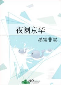 夜阑京华 封面
