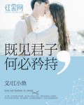 既见君子,何必矜持 封面