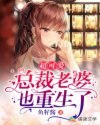 超可爱总裁老婆也重生了 封面