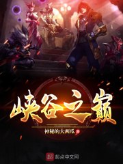 峡谷之巅 封面