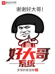 好大哥系统 封面