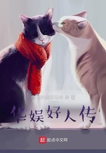 华娱好人传 封面