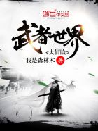 武者世界大冒险 封面