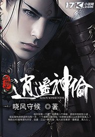 网游之逍遥神偷 封面