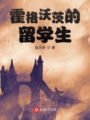 霍格沃茨的留学生 封面