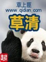 草清 封面