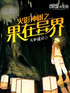 火影神树之果在异界 封面