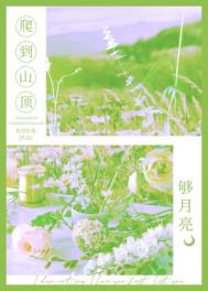 爬到山顶够月亮/相亲对象是初恋 封面