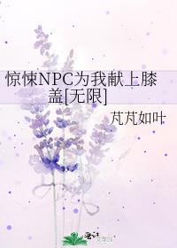 惊悚NPC为我献上膝盖[无限] 封面