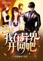 我在异界开网吧 封面