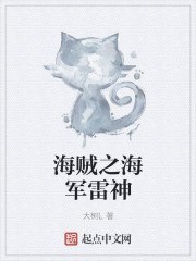 海贼之海军雷神 封面