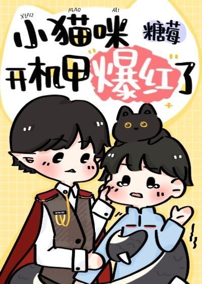 小猫咪开机甲爆红了 封面