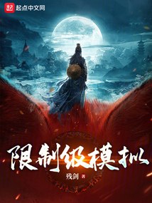 限制级模拟 封面