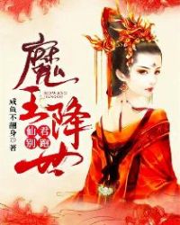 魔王殿下你媳妇又跑了 封面