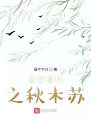 全职高手之秋木苏 封面