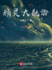 精灵大航海 封面