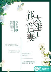 祁总追妻太难了 封面
