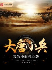 大唐小兵 封面