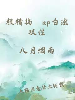 粗精捣泬np白浊双性 封面