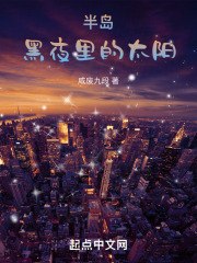 半岛黑夜里的太阳 封面