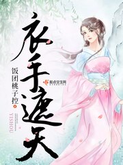 衣手遮天 封面