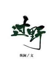 过野 封面