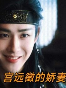 云之羽同人：宫远徵的娇妻 封面