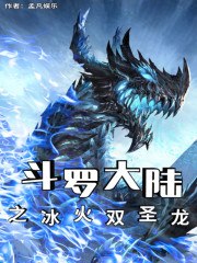 斗罗大陆之冰火双圣龙 封面