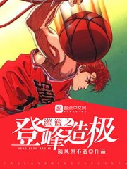 灌篮之登峰造极 封面