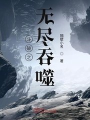 斗破苍穹之无尽火域 封面