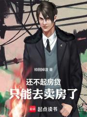 还不起房贷，只能去卖房了 封面