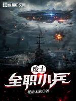 废土：全职小兵 封面
