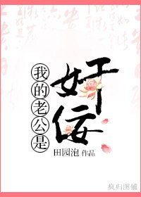 我的老公是奸佞 封面