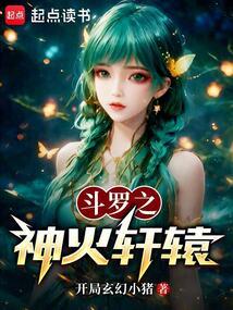 斗罗之神火轩辕 封面