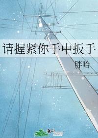 请握紧你手中扳手 封面