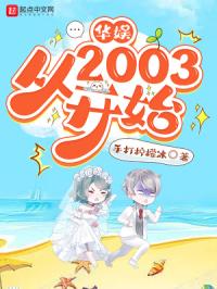华娱从2003开始 封面